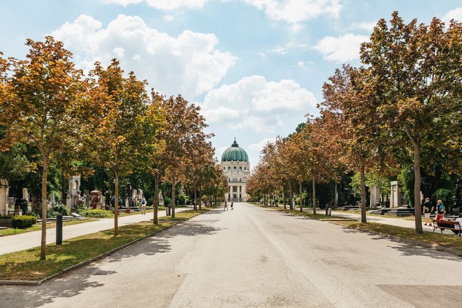 Vienna: Vienna Central Cemetery Guided Walking Tour - How much walking and what to wear