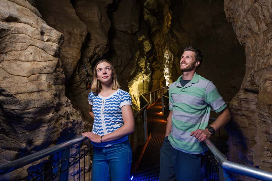 Waitomo Caves: Ruakuri Glowworm Cave Guided Walking Tour - Key points at a glance