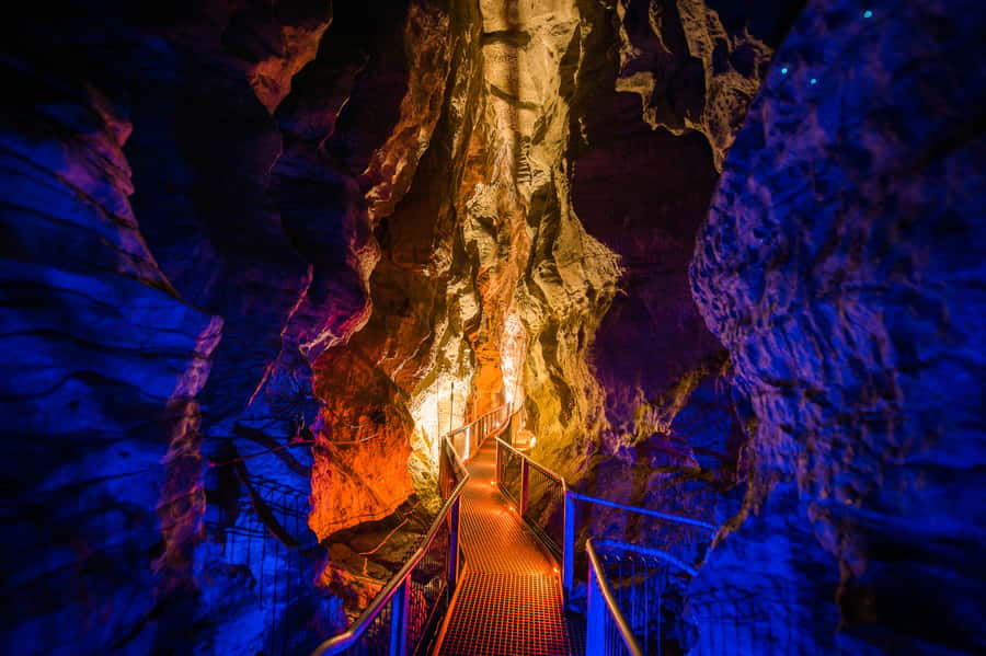 Waitomo Caves: Ruakuri Glowworm Cave Guided Walking Tour - Getting there and preparing well