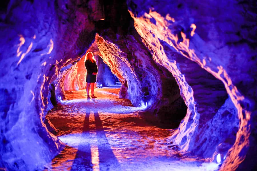 Waitomo Caves: Ruakuri Glowworm Cave Guided Walking Tour - Why Ruakuri Cave feels different from a standard glowworm tour