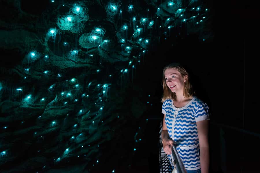 Waitomo Caves: Ruakuri Glowworm Cave Guided Walking Tour - Holdens Cavern and the story beneath Waitomo