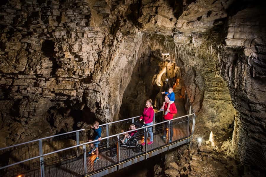 Waitomo Caves: Ruakuri Glowworm Cave Guided Walking Tour - The formations are the real surprise