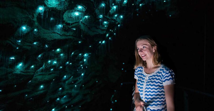 Waitomo Caves: Ruakuri Glowworm Cave Guided Walking Tour - Underground water gives the cave its sound