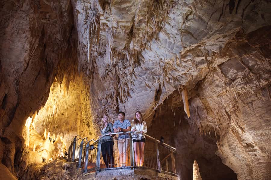 Waitomo Caves: Ruakuri Glowworm Cave Guided Walking Tour - Glowworms close enough to study