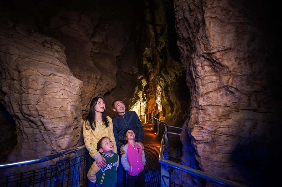 Waitomo Caves: Ruakuri Glowworm Cave Guided Walking Tour - What the 90-minute route feels like