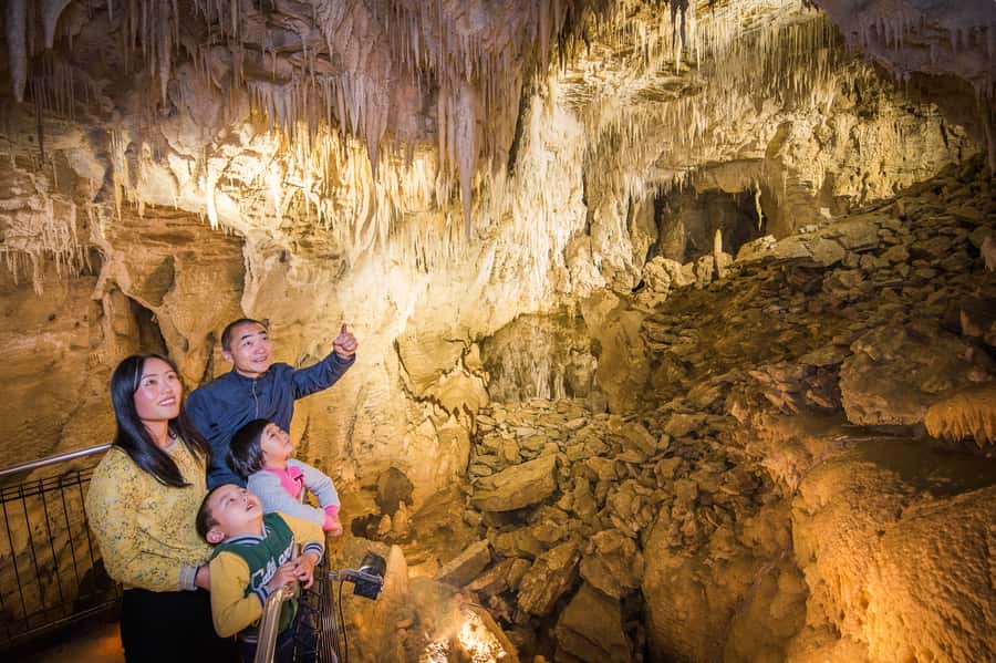 Waitomo Caves: Ruakuri Glowworm Cave Guided Walking Tour - Is $69 a fair price?