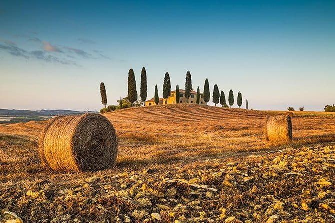 Walking Food Tour of Florence with Tastings and Wine - Morning or evening: choose the right timing