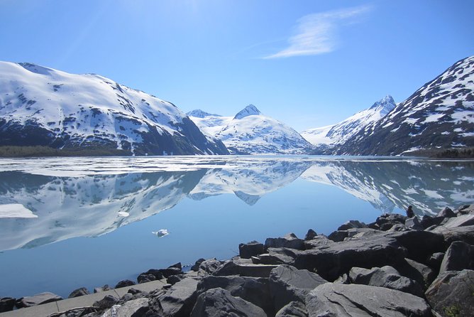 Wildlife and Glaciers with a walk in the Rainforest - Why the guides matter so much