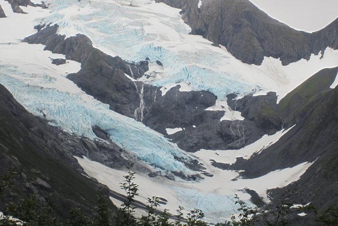 Wildlife and Glaciers with a walk in the Rainforest - The winter question: beautiful, difficult, and less predictable