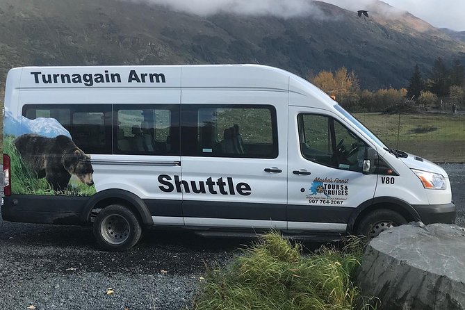 Wildlife and Glaciers with a walk in the Rainforest - Beluga Point and Chugach State Park