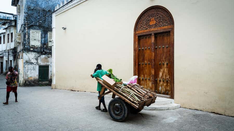 Zanzibar: Stone Town Historical Cultural Walking Guided Tour - Walking the old lanes and reading the city